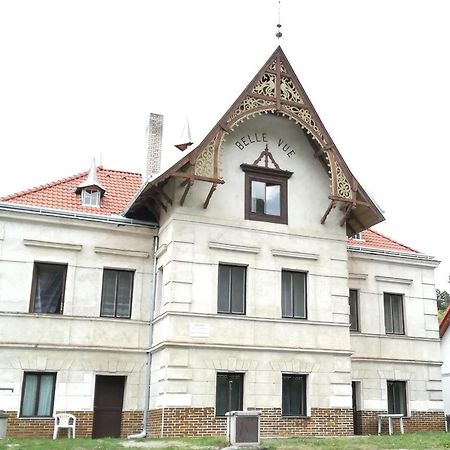 Апартаменты Pronajem Pokoju Belle Vue Вранов-над-Дийи Экстерьер фото