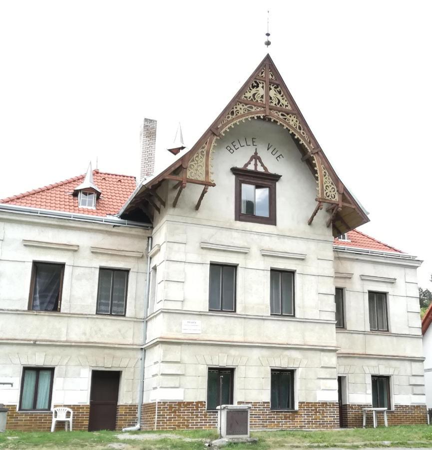 Апартаменты Pronajem Pokoju Belle Vue Вранов-над-Дийи Экстерьер фото