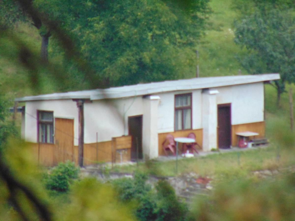 Апартаменты Pronajem Pokoju Belle Vue Вранов-над-Дийи Экстерьер фото
