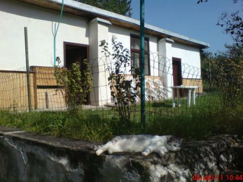Апартаменты Pronajem Pokoju Belle Vue Вранов-над-Дийи Экстерьер фото
